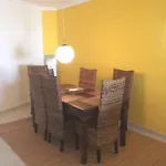 Oasis In Olhos De Agua Apartment Branqueira