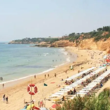 Apartament Oasis In Olhos De Agua *