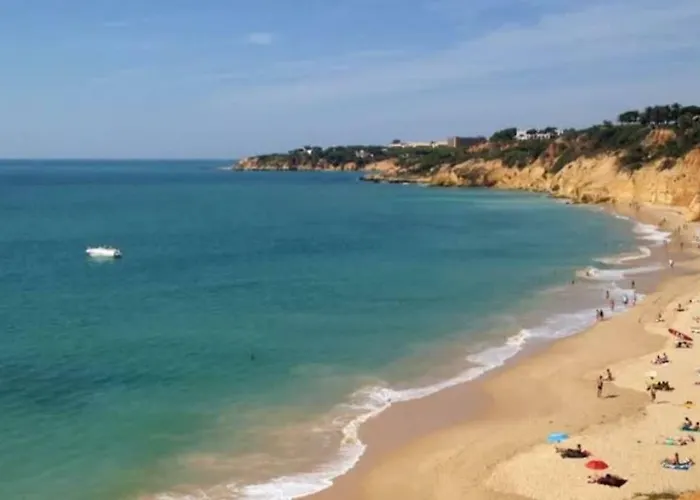 Oasis In Olhos De Agua